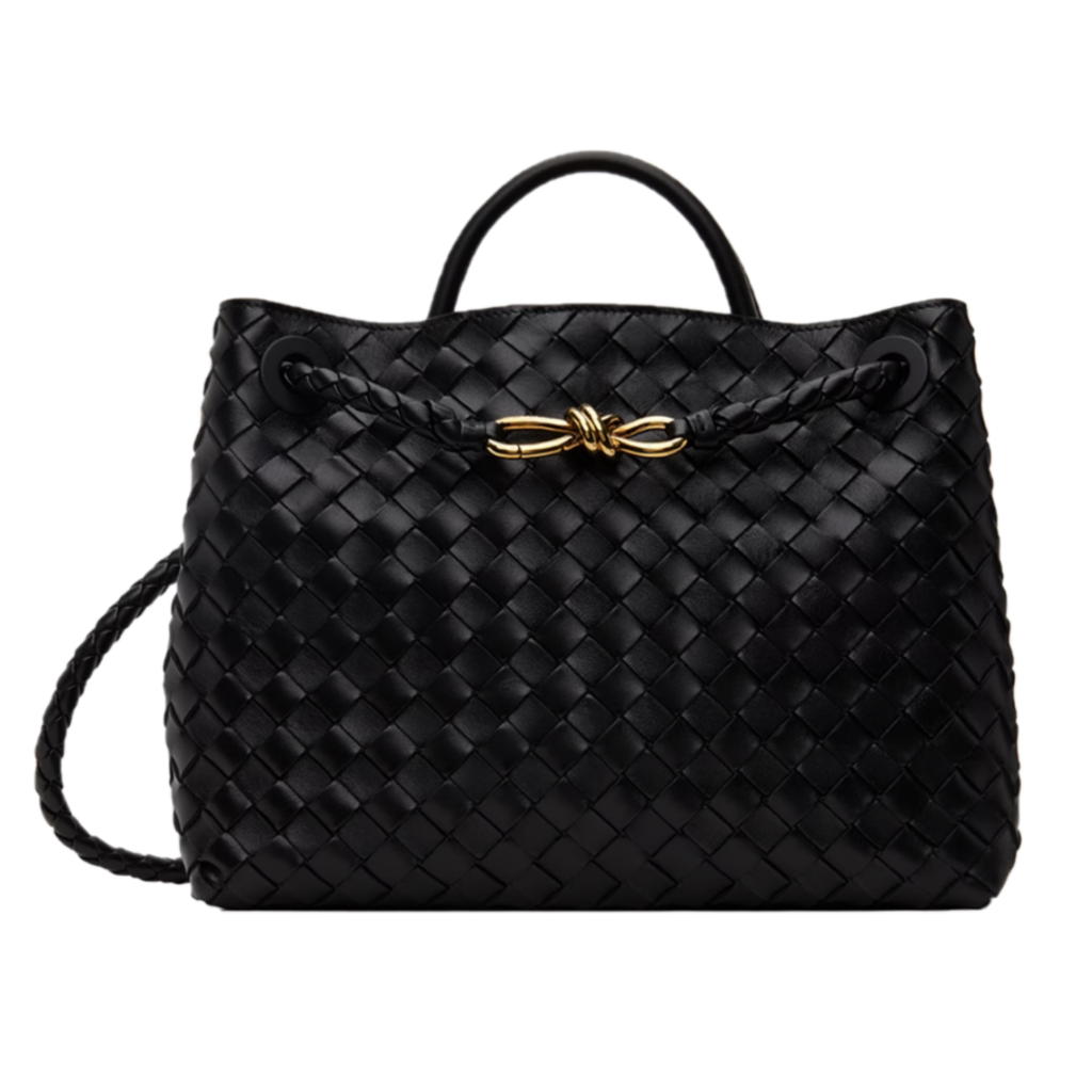 Bottega Veneta Andiamo Medium Bag